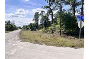 860 Adler Street E, Lehigh Acres