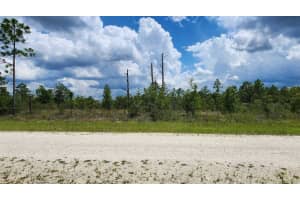 - Scissorbill Avenue, Brooksville
