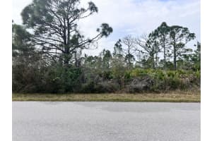 2135 Meetze Street, Port Charlotte