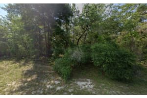 Tbd 79th Terrace, Dunnellon