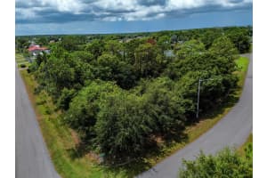 4226 Sw Tuscol Street, Port St. Lucie, Fl 34953, Port Saint Lucie