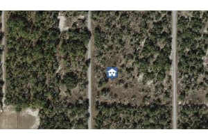 0 Sw Half Moon Drive, Dunnellon