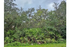 0 Grape Avenue, Okeechobee 0 Grape Avenue, Okeechobee