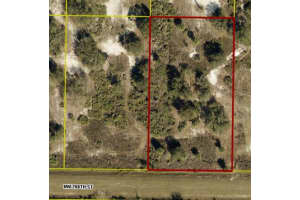 16919 Nw 268 Street, Okeechobee