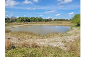 0 Cabbage Drive, Okeechobee