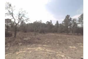 6632 N Sand Drive, Citrus Springs