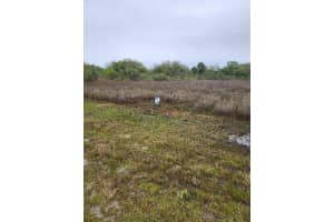 15679 Nw 296th Street, Okeechobee 15679 Nw 296th Street, Okeechobee