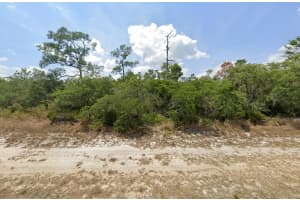 920 Western Boulevard, Lake Placid
