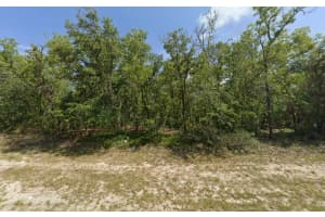 Tbd Sw 72nd Circle, Dunnellon