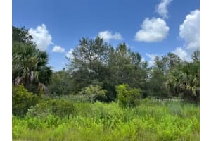 17915 Nw 290th Street, Okeechobee