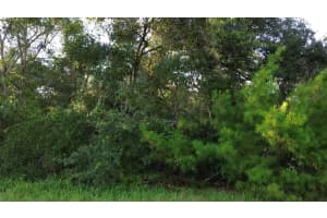 Tbd Sw 37th Circle, Ocala