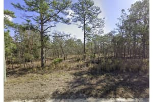 15222 Wine Drive, Weeki Wachee