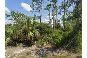 33438 Walnut Drive, Punta Gorda