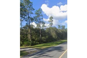 0 Ne 315 Hwy, Fort Mc Coy