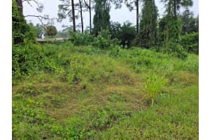 259 Hilliard Road Nw, Palm Bay