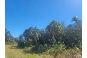 14313 Rothschild Avenue, Port Charlotte