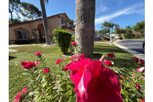 150 Paddock Lane, Greenacres 150 Paddock Lane, Greenacres