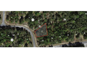 1915 W Shellbark Drive, Citrus Springs