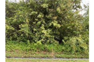 360 Sw Undallo Road, Port St. Lucie, Fl 34953, Port Saint Lucie 360 Sw Undallo Road, Port St. Lucie, Fl 34953, Port Saint Lucie