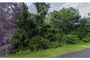 242 Toms Road, Debary