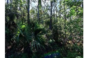 0 Macquillen Road, Port St. Lucie, Fl 34952, Port Saint Lucie 0 Macquillen Road, Port St. Lucie, Fl 34952, Port Saint Lucie