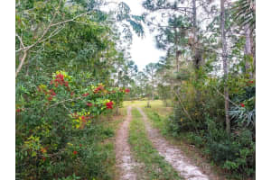 8590 130th Avenue, Fellsmere 8590 130th Avenue, Fellsmere