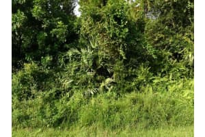 2338 Sw Fern Circle, Port St. Lucie, Fl 34953, Port Saint Lucie