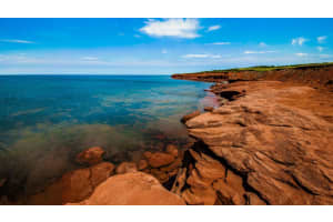 7605 N Sanibel Circle, Tampa