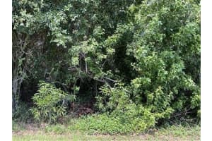 1898 Se North Buttonwood Drive, Port St. Lucie, Fl 34952, Port Saint Lucie