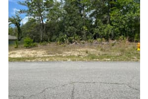 6876 N Sandborn Loop, Citrus Springs