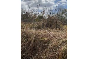 1558 Burney Street Sw, Palm Bay