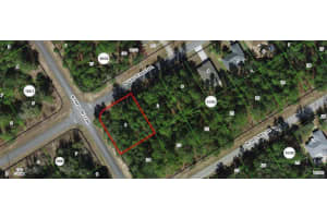 156 W Goldcoast Place, Citrus Springs