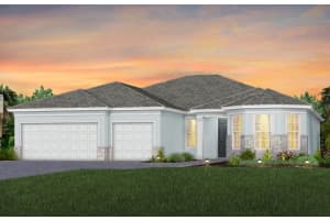 13621 Sw Vermillion Circle Stellar 800, Port St. Lucie, Fl 34987, Port Saint Lucie