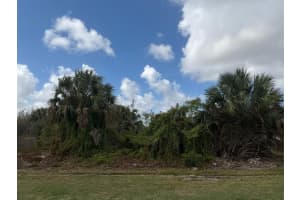 1658 Sw Hampshire Lane, Port St. Lucie, Fl 34953, Port Saint Lucie