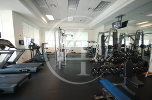 Palmetto Place Gym