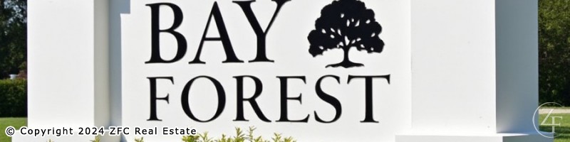 Bay Forest Bay Forest