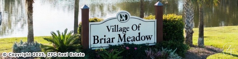 Village Of Briar Meadow