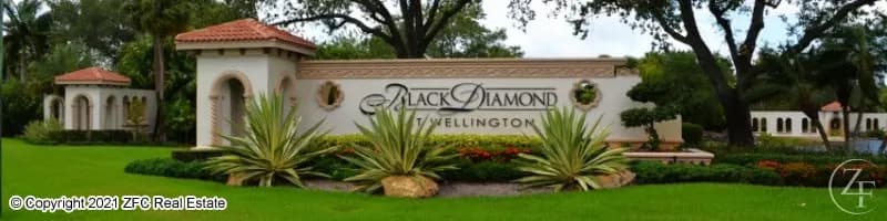 Black Diamond Wellington Homes for Sale