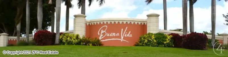 Buena Vida Wellington Homes for Sale